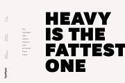 TT Hazelnuts, a Sans Serif Font by TypeType (Thumbnail 2 of 11)