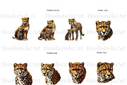Cheetah Clipart, Wild Cat, Cheetah, an Animal Illustration by BrushstrokeArtGB (Thumbnail 3 of 9)