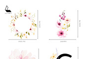 Flora | Watercolor Flower Collection, an Illustration by Karma (Thumbnail 25 of 26)