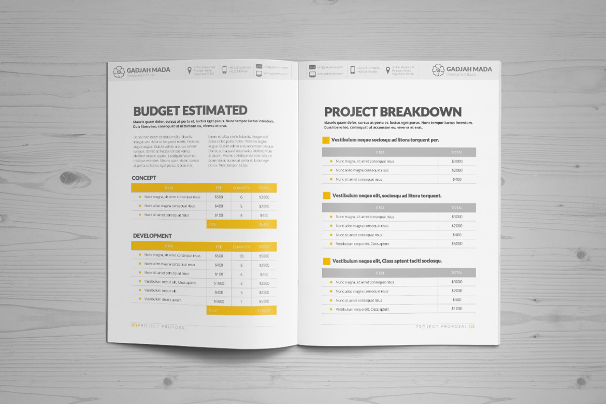 Proposal Template, a Stationery Template by binangkit (Photo 16 of 19)