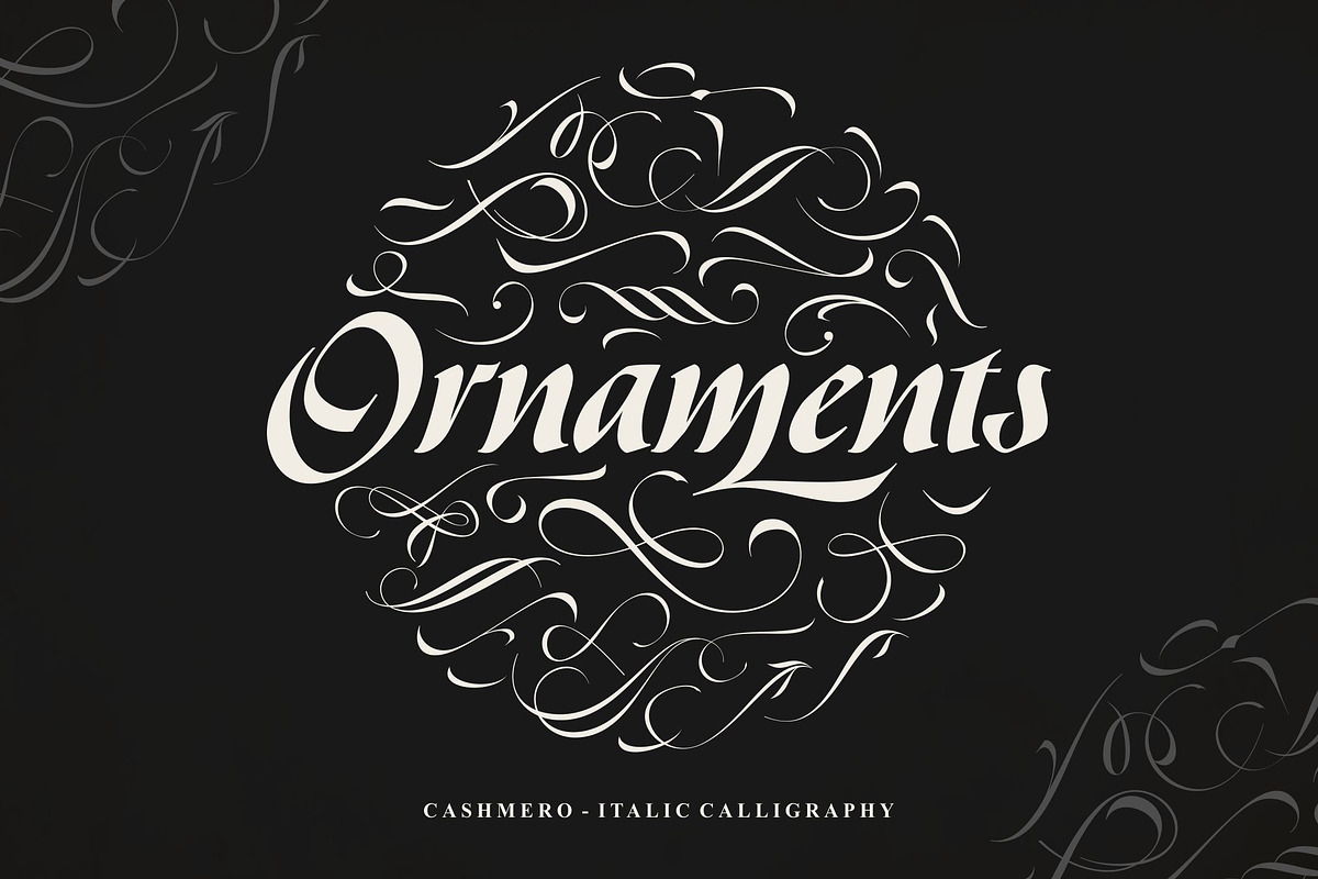 Cashmero - Italic Calligraphy, a Script Font by ErgibiStudio (Photo 8 of 9)