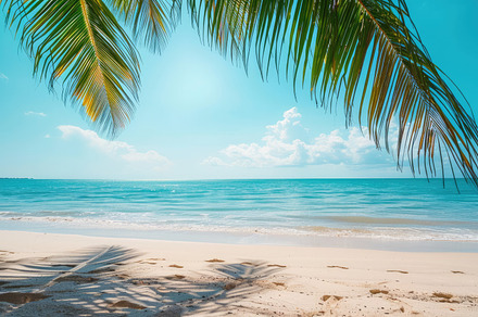 A tropical beach with palm trees, a Nature Photo by Virgo Studio