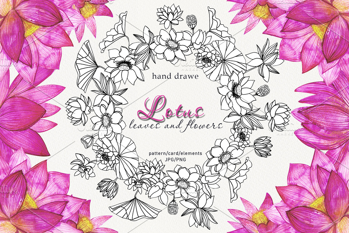 Lotus flowers and leaves, a Decorative Illustration by Art AleshkaK (Photo 1 of 3)