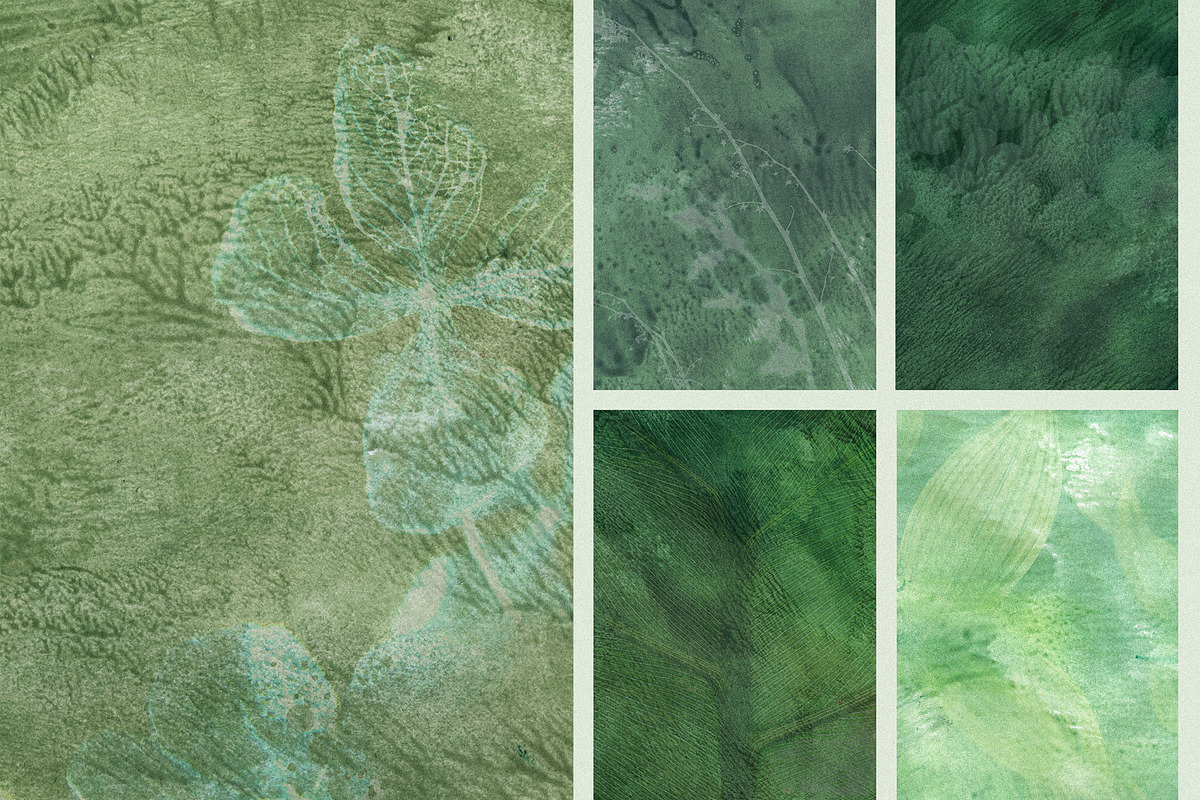 Organic Macro Botanical Textures, a Texture Graphic by Elena Pimonova (Photo 4 of 13)