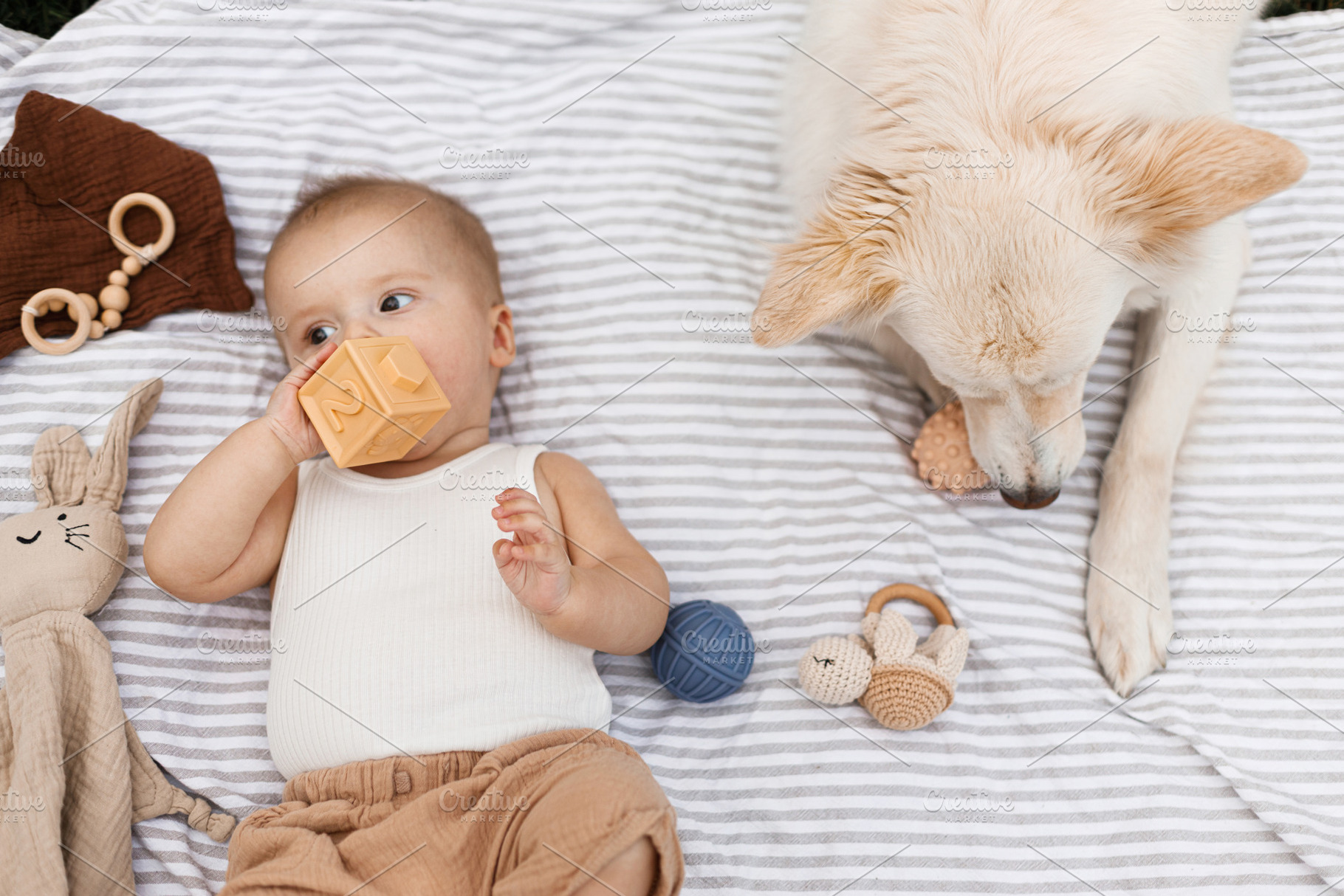 Beautiful happy baby and cute dog playing with toys while lying, a Person Photo by Sonjachni
