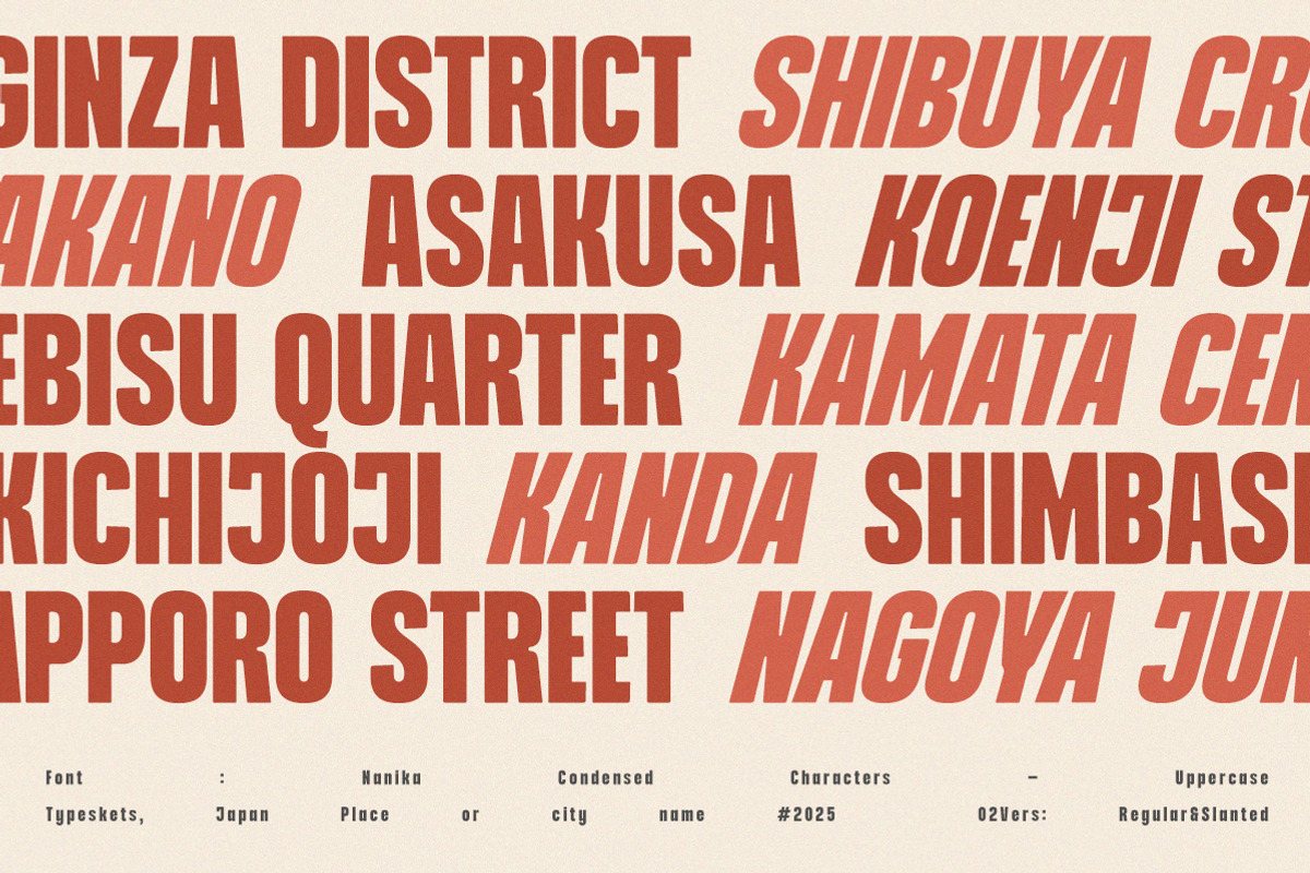 Nanika, a Sans Serif Font by Typeskets (Photo 14 of 15)
