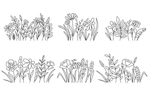 Groups of field herbs, plants and, an Object Illustration by Tati_Kli