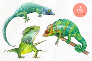 Frogs&lizards.Watercolor set, an Illustration by Nastilustra (Thumbnail 3 of 4)