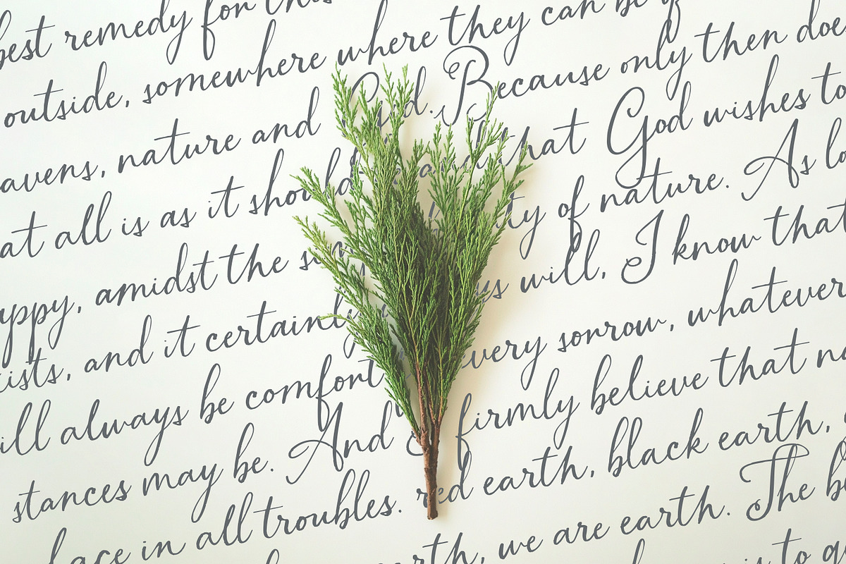 Branch & Bramble Calligraphy Font, a Script Font by Callie Rian & Co. (Photo 17 of 17)