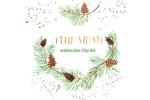 Pine Branches. Watercolor Clipart.