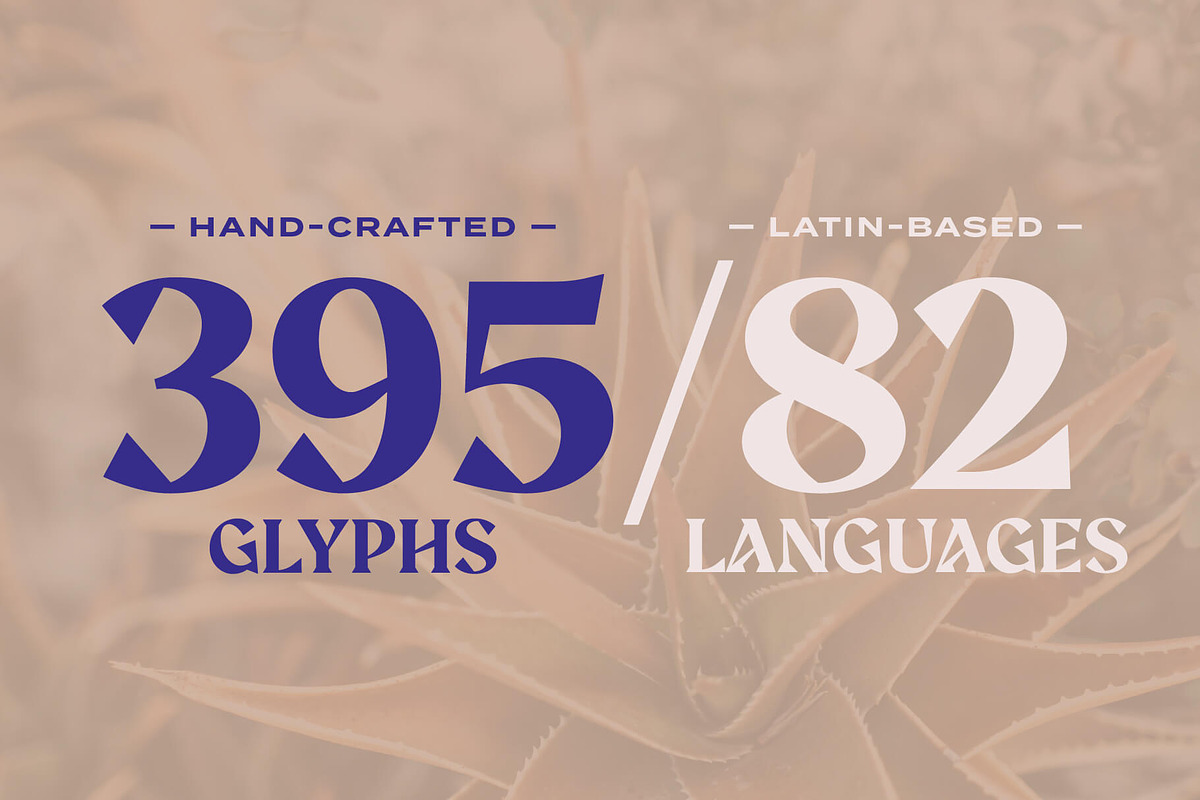 Aeda Rift, a Serif Font by ZP Fonts™ (Photo 11 of 12)