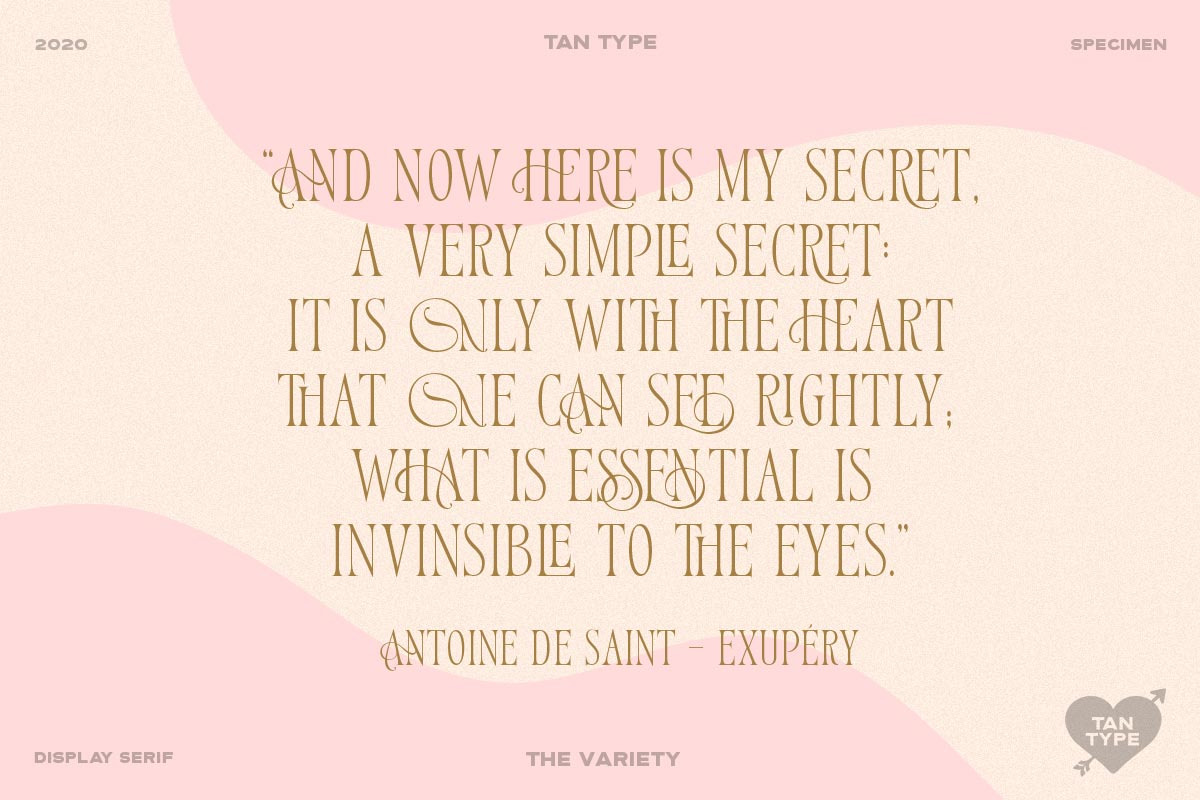 TAN - Variety, a Serif Font by TanType (Photo 10 of 26)