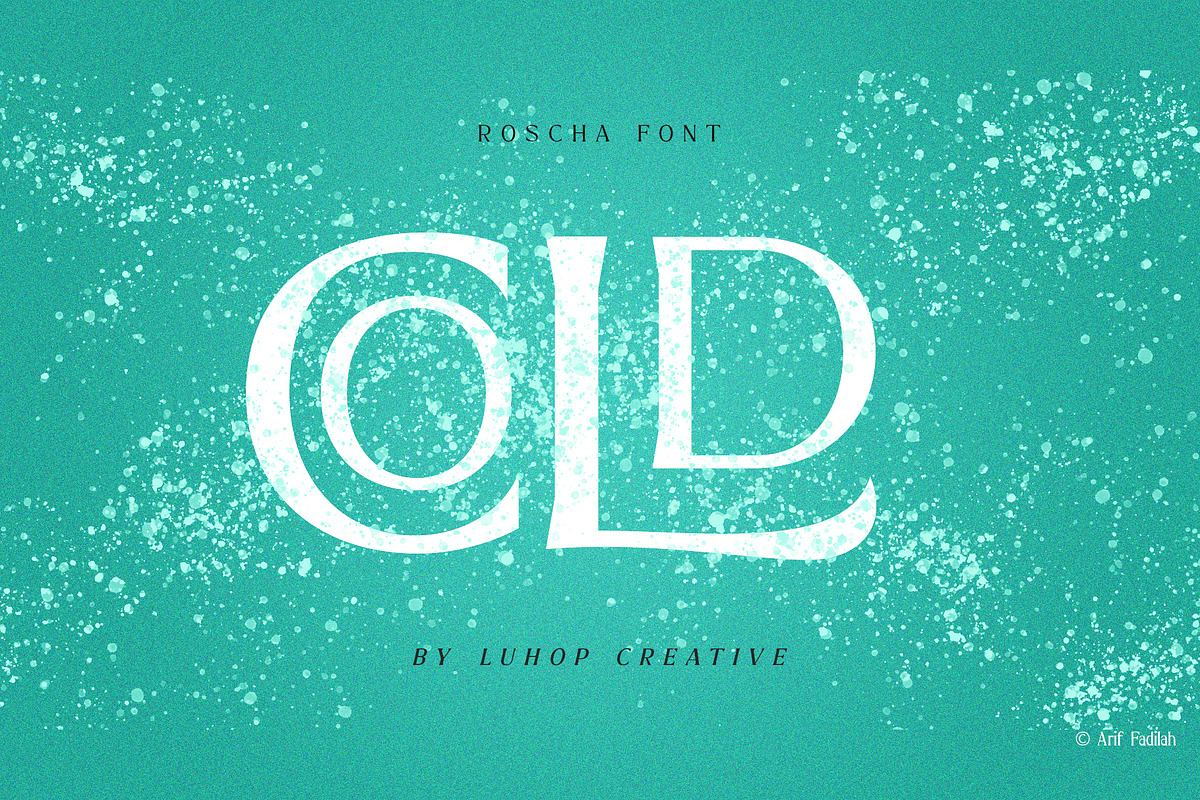 Roscha | Modern Serif Font Disc 50%, a Serif Font by LuhopCreative (Photo 12 of 13)