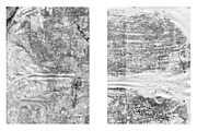 Rugged Halftone Grunge Textures, a Texture Graphic by AL's Design Studio (Thumbnail 5 of 15)