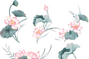 Watercolor Lotus Clip Art Collection, an Object Illustration by ArtbyHien (Thumbnail 3 of 5)
