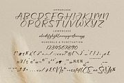 Aurora Magnollia Font Duo, a Serif Font by Storytype Studio (Thumbnail 13 of 15)