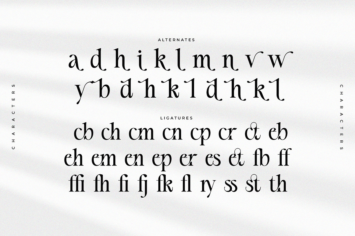 Silvena – Modern Elegant Serif Font, a Serif Font by BrandSemut (Photo 7 of 10)