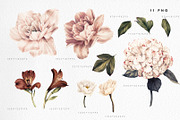 Watercolor Floral Bundle, a Texture Illustration by ollalya (Thumbnail 84 of 112)