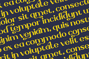 Gramonta - Serif Typeface Font, a Serif Font by Rishsketch (Thumbnail 11 of 14)