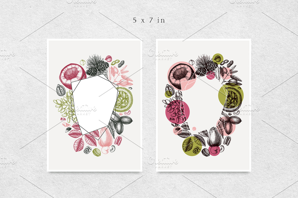 Nuts Hand-Drawn Vector Illustrations, a Food Illustration by Yevheniia (Photo 7 of 15)