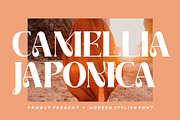 Camellia Japonica, a Serif Font by elevencreateam (Thumbnail 1 of 8)