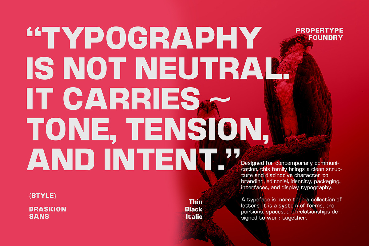 Braskion, a Sans Serif Font by Propertype (Photo 3 of 15)