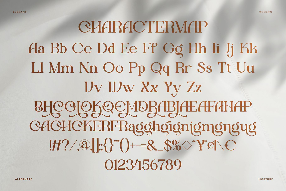Demica || Modern Minimalist Serif, a Serif Font by Ermedia Studio (Photo 10 of 10)