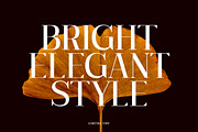Garetra Serif Font Family, a Serif Font by Letterhend Studio (Thumbnail 8 of 10)