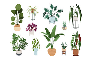 Trendy House Plants In Pots Set