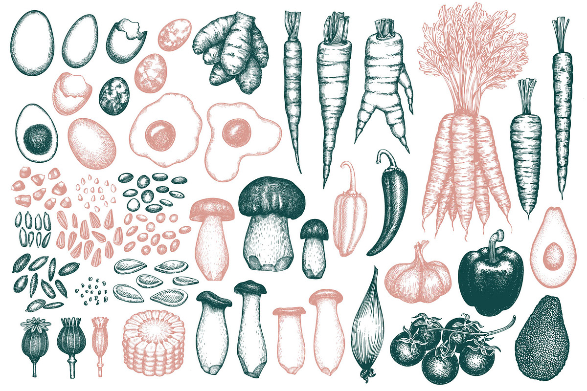 Paleo Diet Vector Collection, a Food Illustration by Lubov Illustrations Shop (Photo 2 of 7)