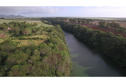Flying over the river on Mauritius, a Nature Photo by Grey Coast Media
