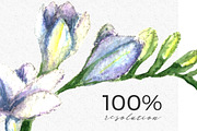 Wedding Watercolor Tulips Set, an Illustration by WBS Design (Thumbnail 9 of 9)