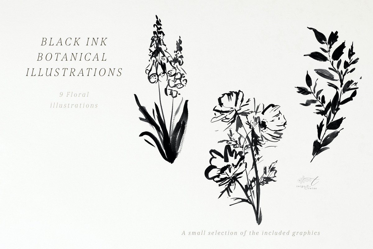 Coco - Abstract Watercolors, an Illustration by Twigs and Twine (Photo 5 of 14)