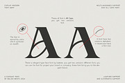 Aporla - Elegant Slab Serif, a Slab Serif Font by Baleee (Thumbnail 12 of 18)