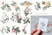 Woodland animal watercolor set, an Animal Illustration by Love Watercolor Store (Thumbnail 9 of 15)