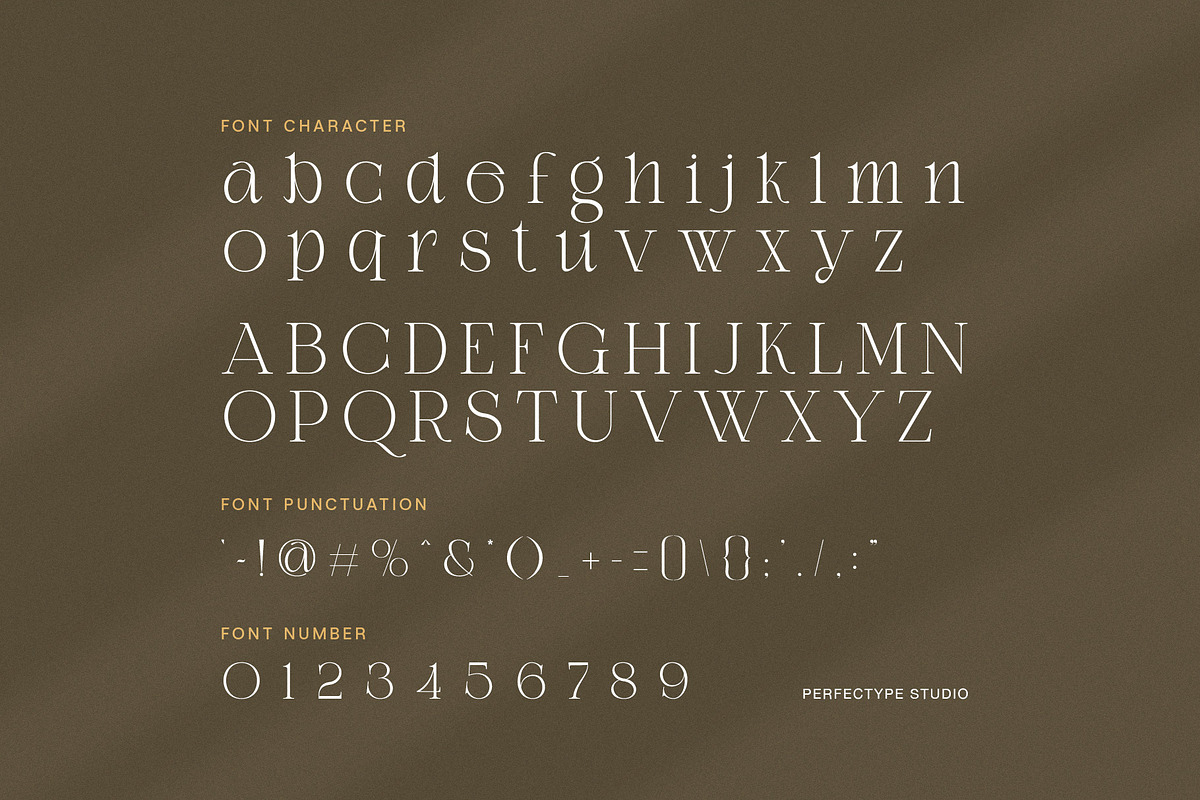 Daily Ramide Serif Font, a Serif Font by Perfectype (Photo 7 of 8)