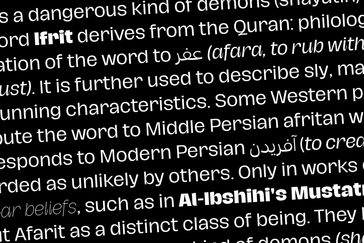 Hagrid 24 fonts + 4 variables, a Sans Serif Font by Zetafonts (Photo 10 of 17)