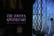 The Ninth Coven - Witchy Gothic Font, a Serif Font by gafaroff studio (Thumbnail 4 of 8)