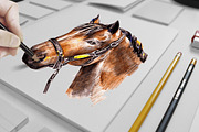 Set of Horses. Hand drawn, an Animal Illustration by lidiya_zayac (Thumbnail 2 of 3)