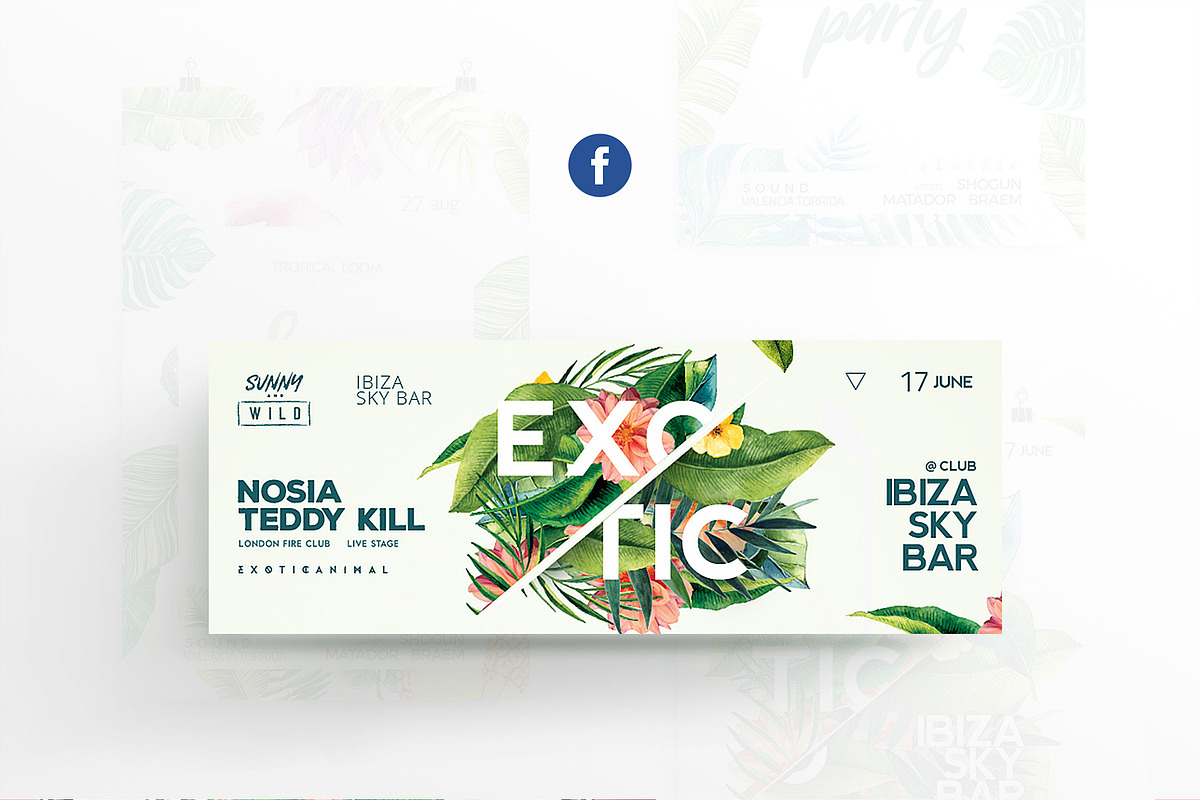 Exotic Flyer preview 3
