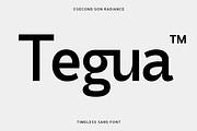 SS Tegua - Modern Sans Font, a Font by Typocracy Studio (Thumbnail 1 of 15)