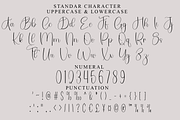 Wedding Bride, a Handwritten Font by FreshTypeINK (Thumbnail 7 of 8)