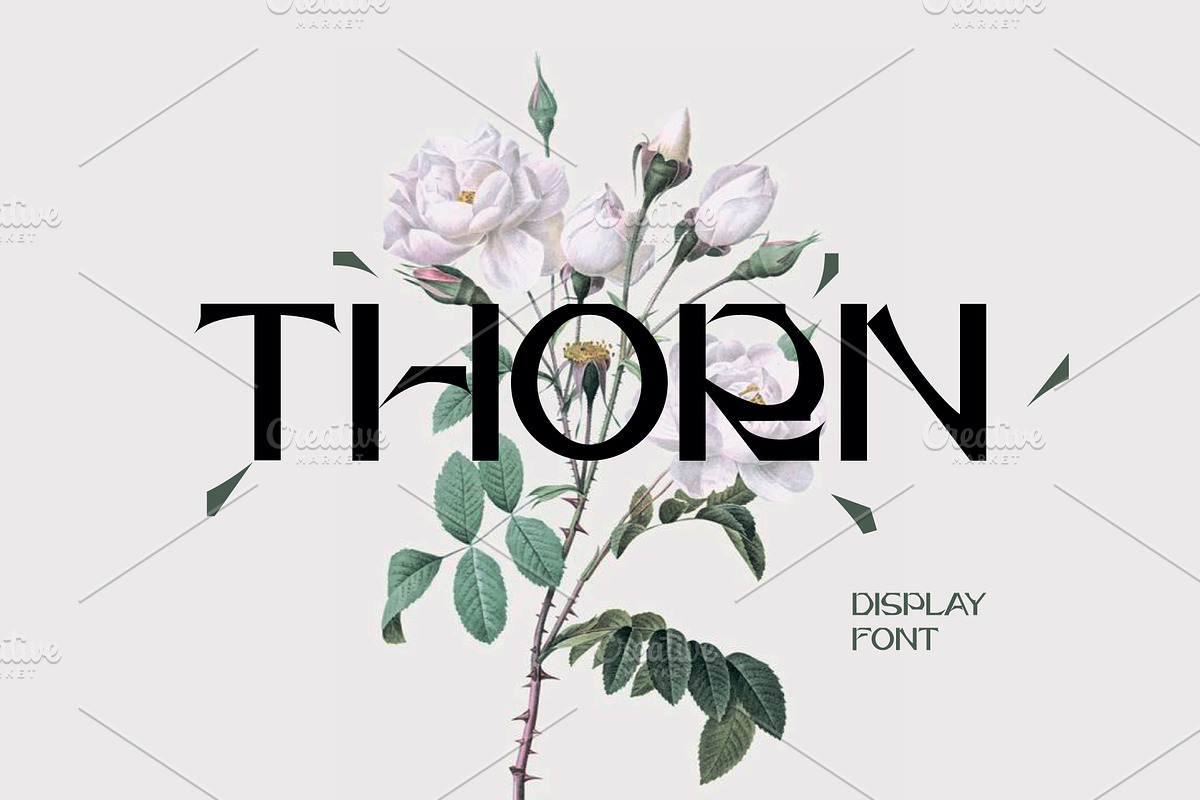 Thorn Font, a Font by Mymlan Shop (Photo 1 of 9)