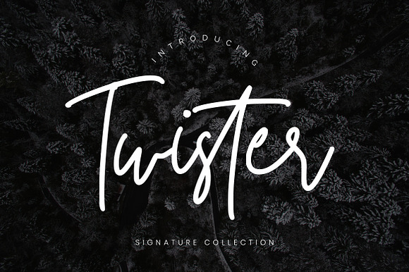 Twister Script Business Font preview 7