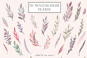 Watercolor flora. Dreamy collection, a Decorative Illustration by Bang Bang Bureau (Thumbnail 2 of 7)