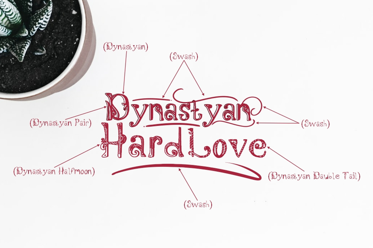 Dynastyan - 5 Font styles preview 3