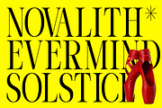 Evoire Modern Editorial Serif Font, a Serif Font by Rasio Studio (Thumbnail 5 of 11)