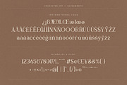 Sacramento Modern Ligature Serif, a Serif Font by Creatype Studio (Thumbnail 9 of 9)