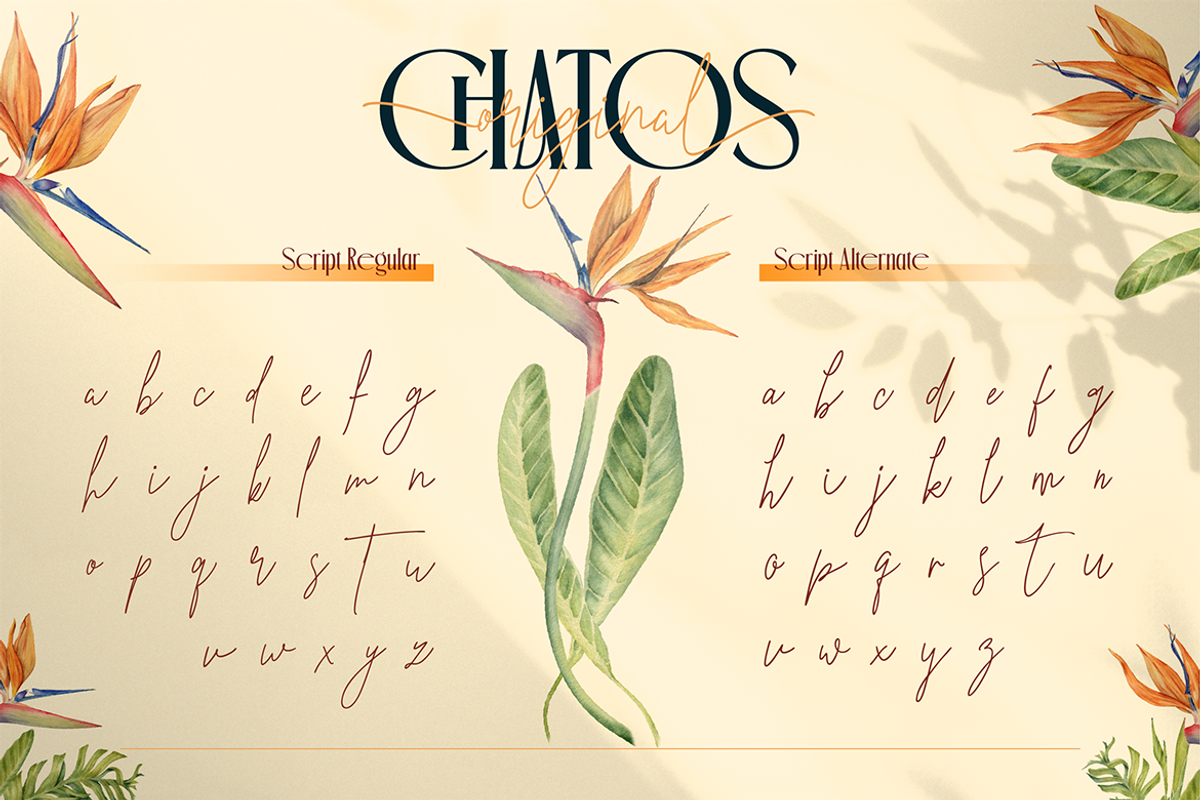 Chatos Original, a Serif Font by Burntilldead (Photo 10 of 11)