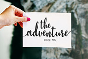 Stephanie Script, a Script Font by Typehill (Thumbnail 10 of 12)